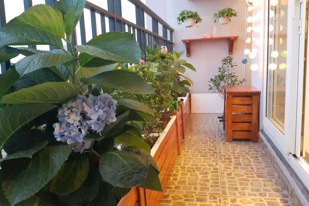 The balcony