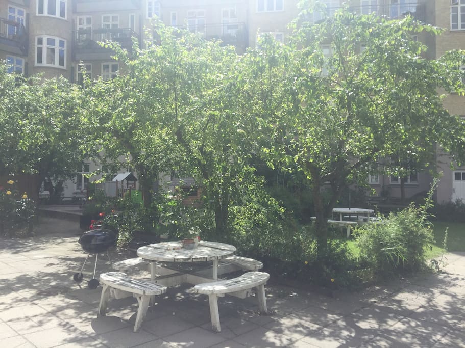 The Garden