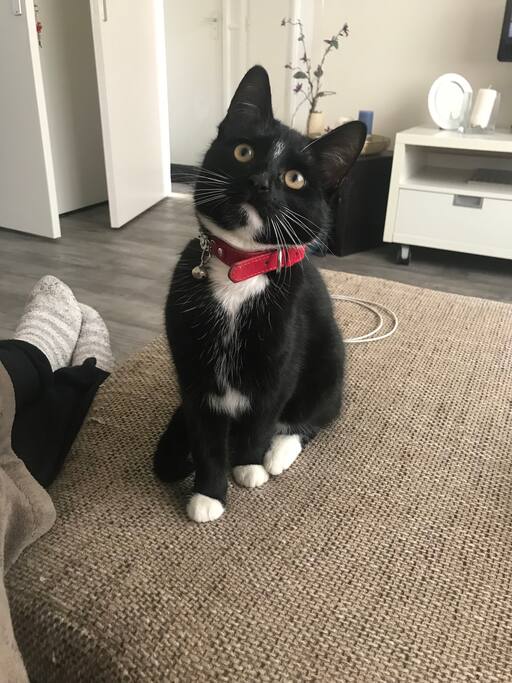 The prince himself