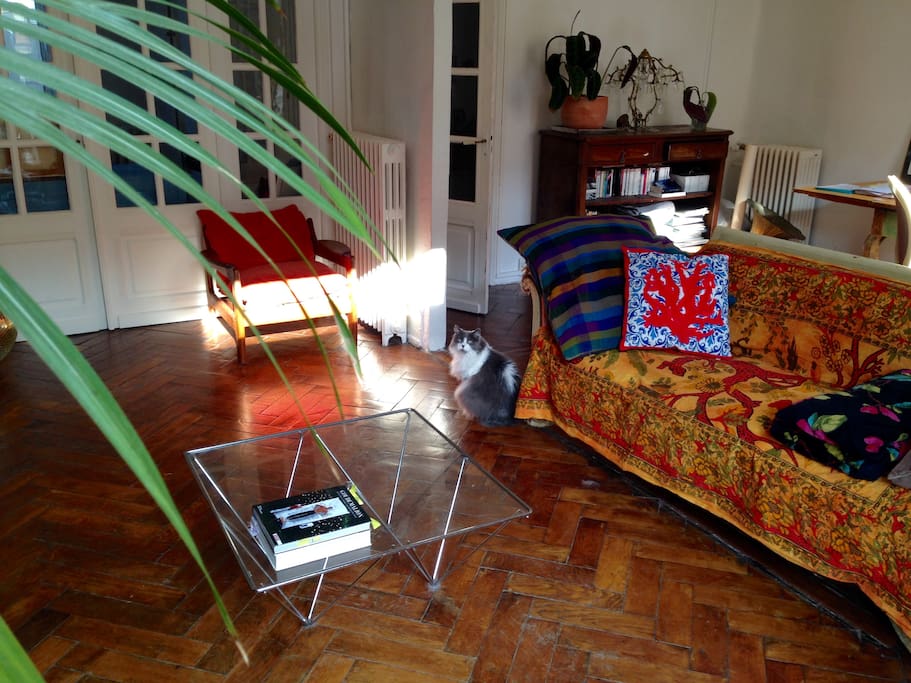 Salon plein sud. Bright living-room