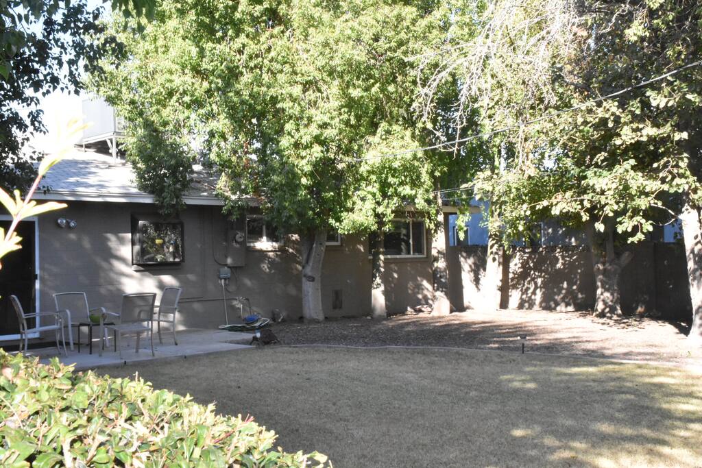 Backyard