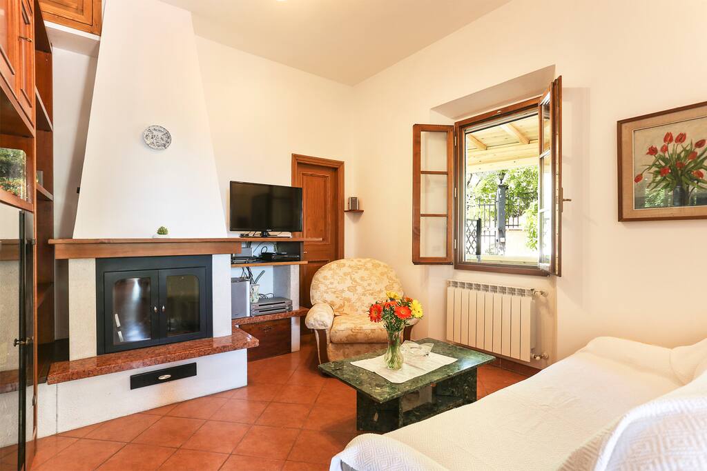 the nice living with the fire place