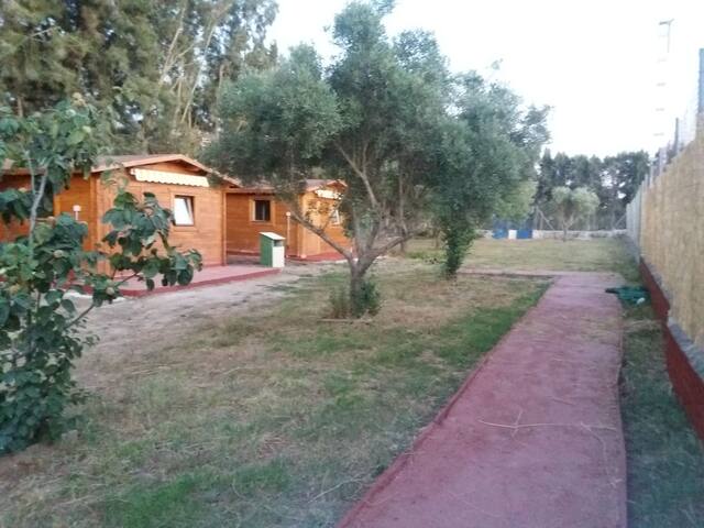 Bungalows 2, habitación, Estudió