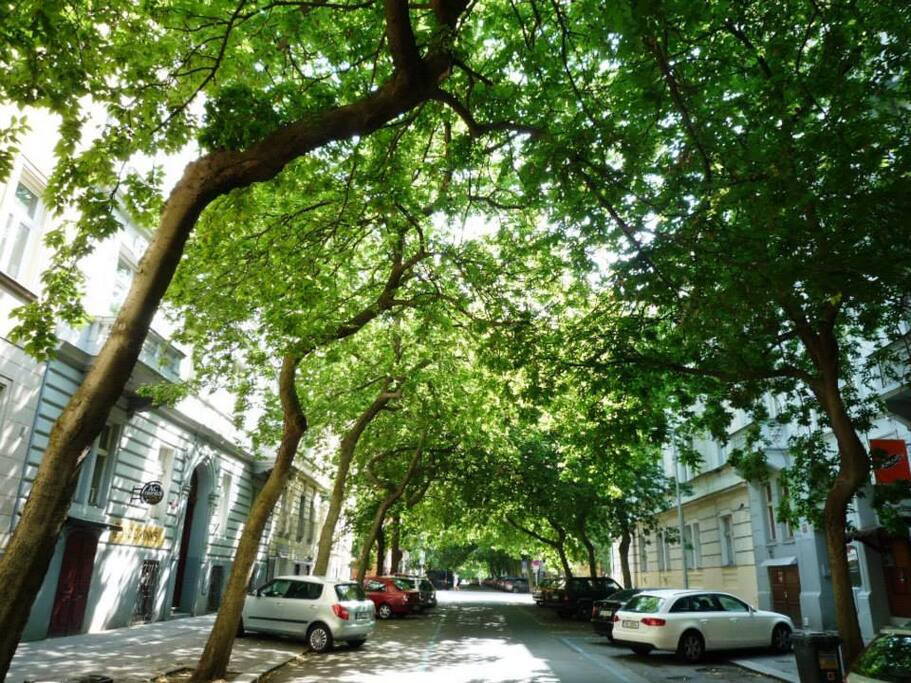 Where To Rent Room In Prague Where To Rent Room In Prague