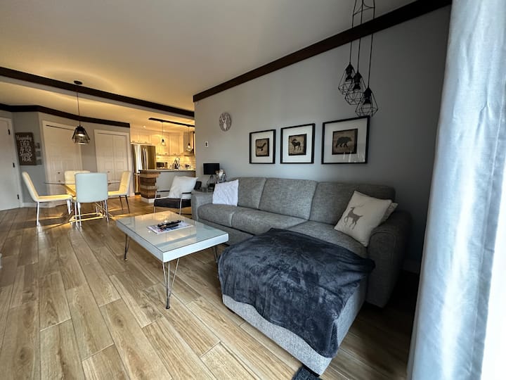 Ski In/ Ski Out Modern 1 Bedroom With A/c. - Mont-Tremblant