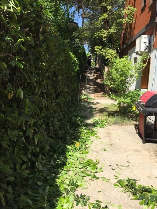 Griglia e bici a disposizione