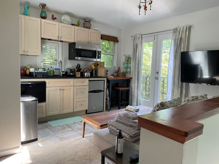 Candler Park Aerie Suite