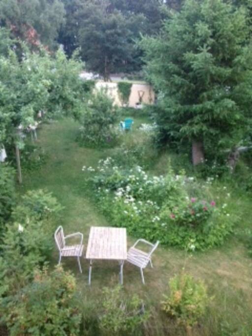 Baghaven som ses fra vinduet i værelset
Garden