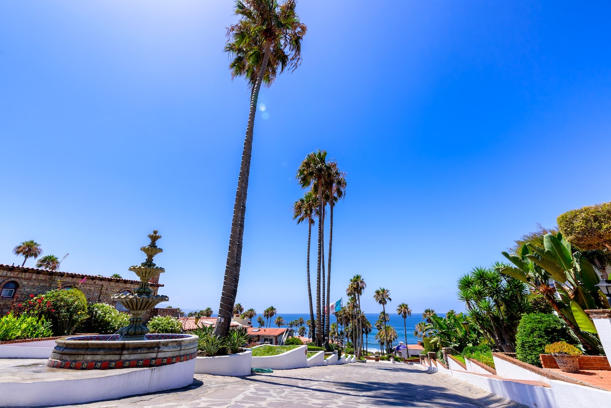 A scenic pathway meanders through palm trees and vibrant greenery, leading towards the ocean. A decorative fountain sits prominently in the foreground, surrounded by colorful floral landscaping. The clear blue sky enhances the tranquil atmosphere of the community, showcasing the proximity to the coastline.