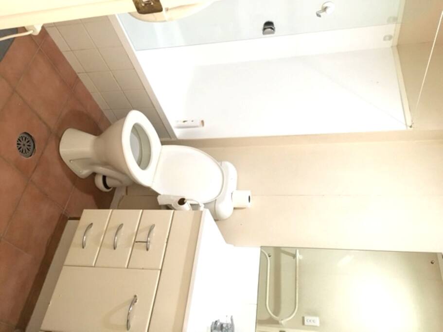 Toilet with bath tub