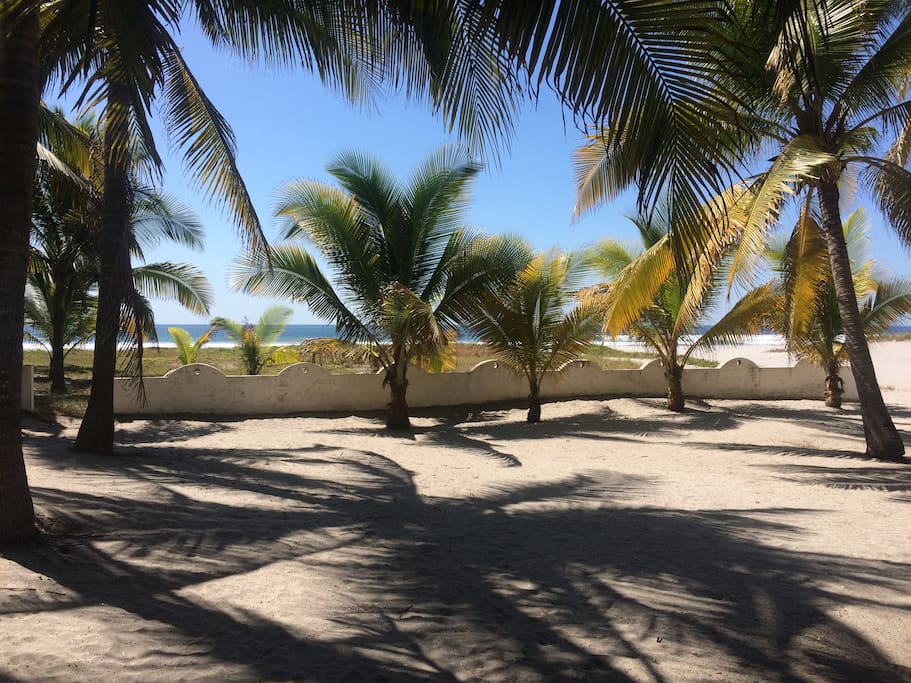 A secret everybody knows: the swimming pool of PotoPoto house, under the coconut trees on the left, can be used on demand for a refreshing parenthesis.