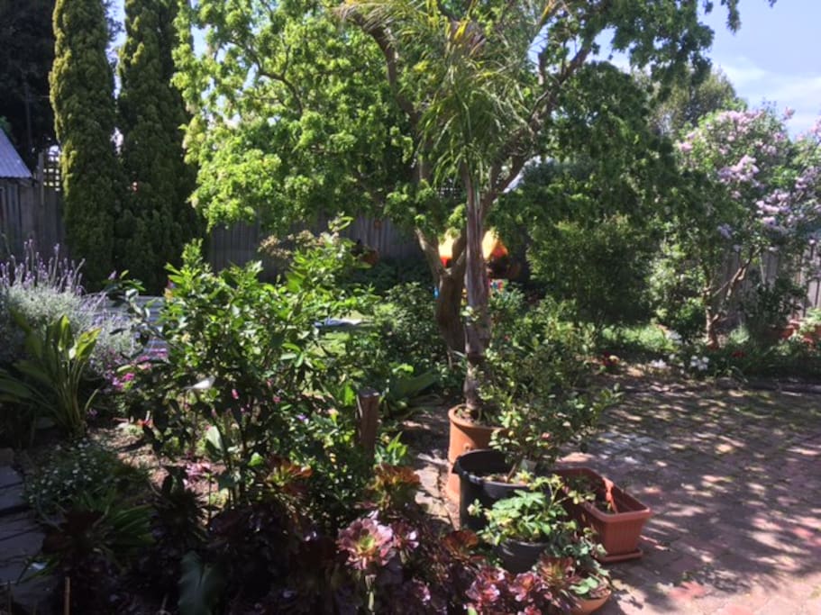 Studio overlooks beautiful courtyard garden.