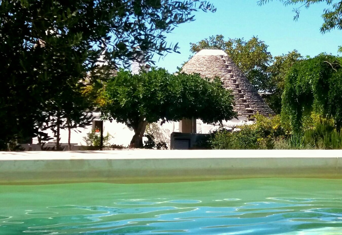 The image captures a tranquil outdoor scene featuring a clear swimming pool in the foreground. Behind the pool, a trullo with a conical roof is framed by lush greenery, including a large tree, enhancing the serene setting.