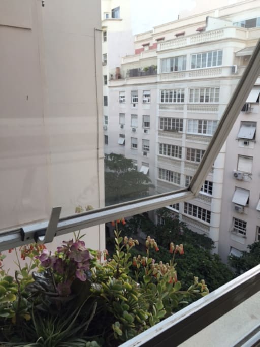 vista da janela sala