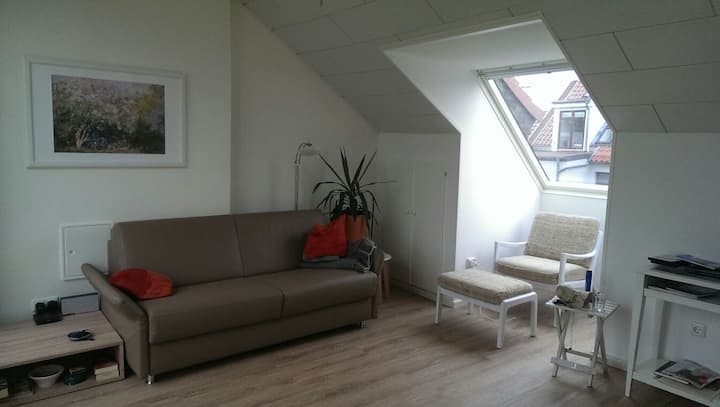 Helles Apartment Mit Dachterrasse - Bremen