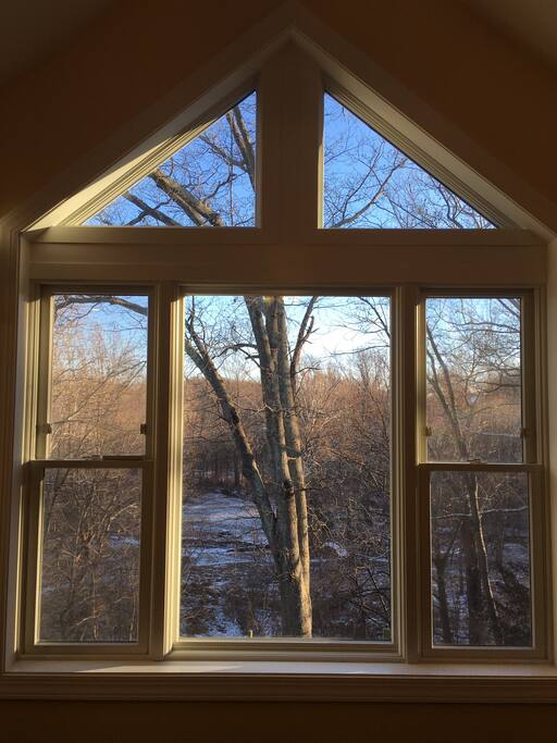Tranquil view into our 4 acre woods, a steep slantway descends down to a wooded walk to three streams and a field.