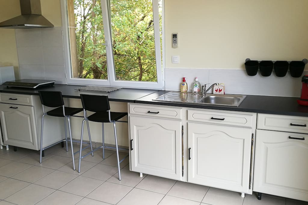 Coin cuisine équipée : réfrigérateur, hotte aspirante, 2 plaques induction + micro-ondes + cafetière Tassimo + cafetière filtre + table/bar pour déjeuner face au bois
