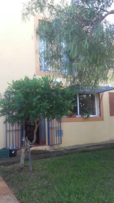 Jardin trasero