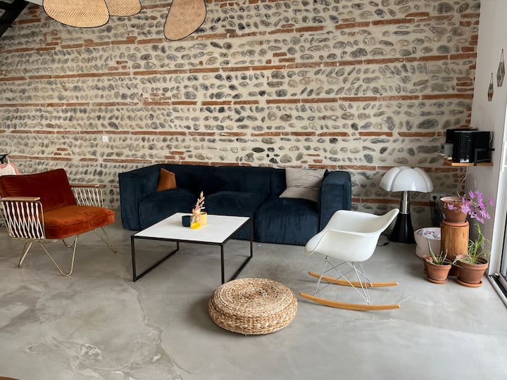 Belle Maison Toulousaine - Toulouse