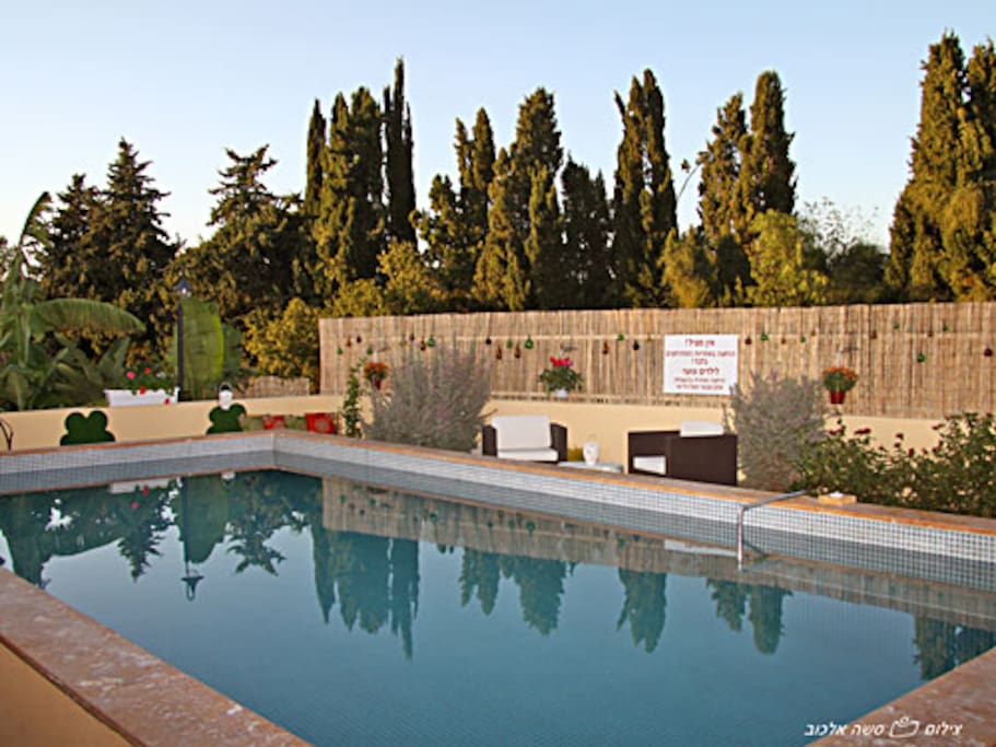 The swimming pool in the Zimmer compound