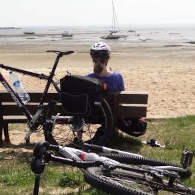 repos au bassin