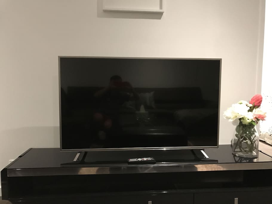 55' Inch Smart TV (Netflix available)