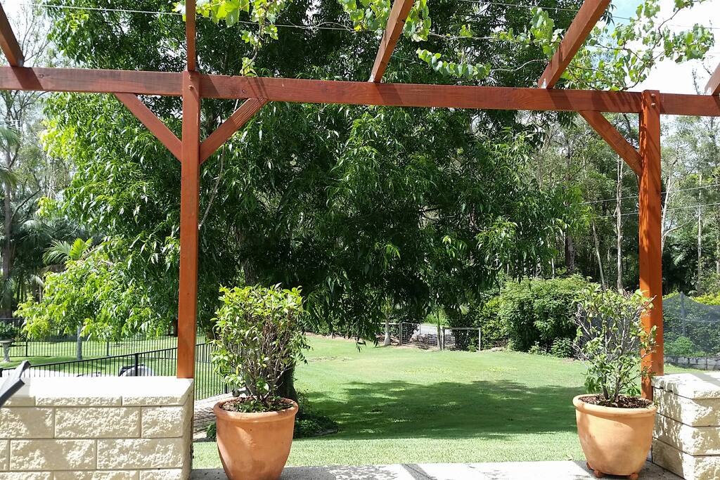 Looking out from the main bedroom into the lush, well manicured gardens and pecan nut tree.