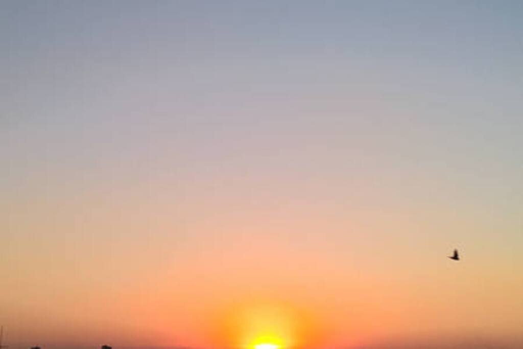 Pôr do sol da sacada e do quarto com pássaro passando ...