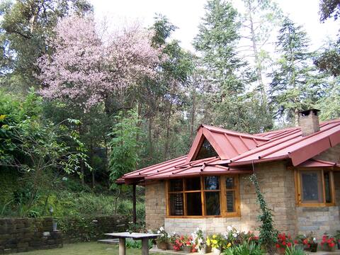 Snow View Cottages - Cedar Cottage