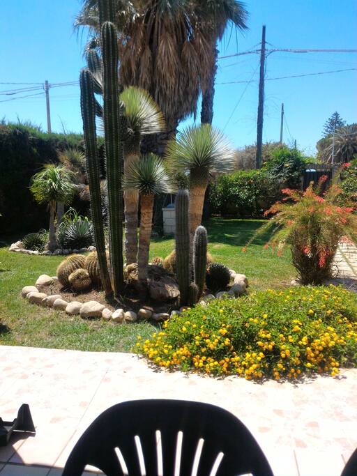 parte del giardino