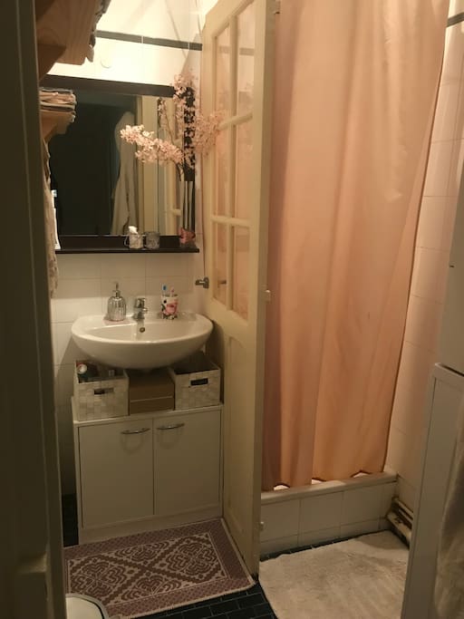 Salle d’eau commune (douche)