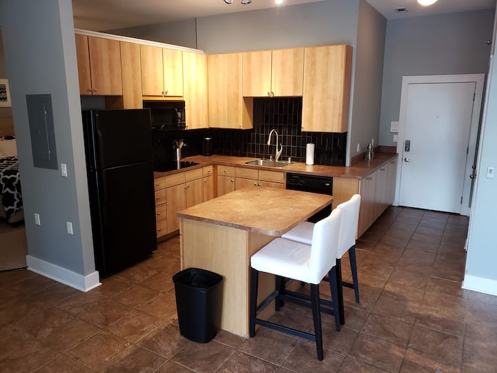 MODERN CONDO DOWNTOWN LEXINGTON 103 Condominiums for Rent in