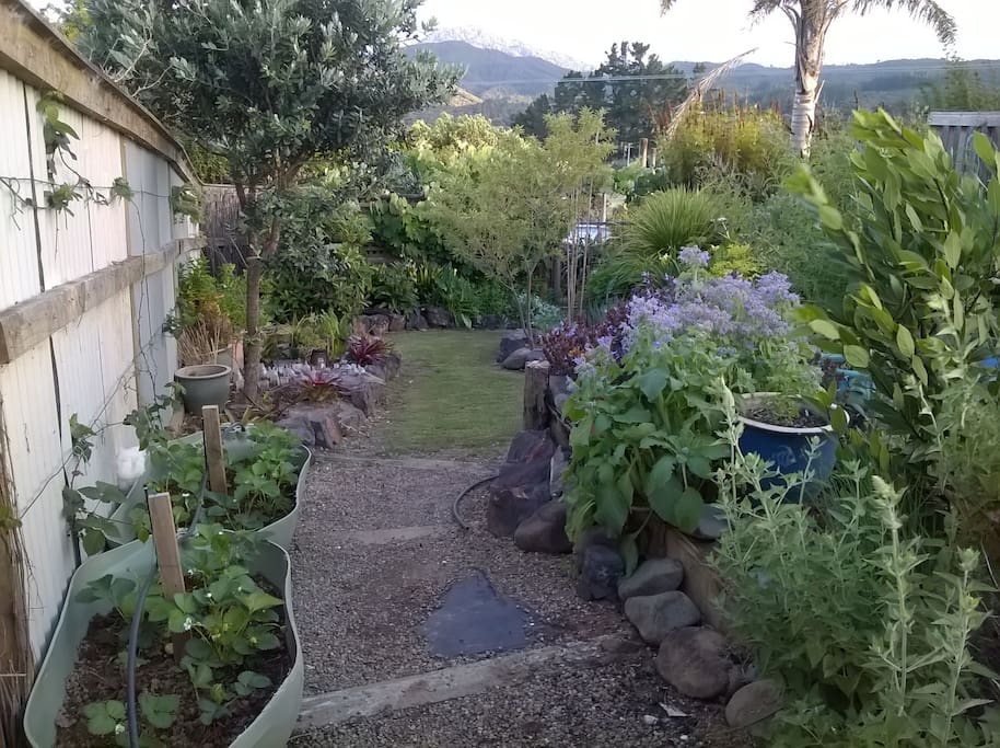 Footpath leading to the herb gardens etc