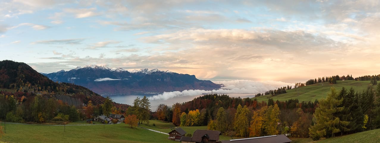 Montreux home with a view gallery image 2