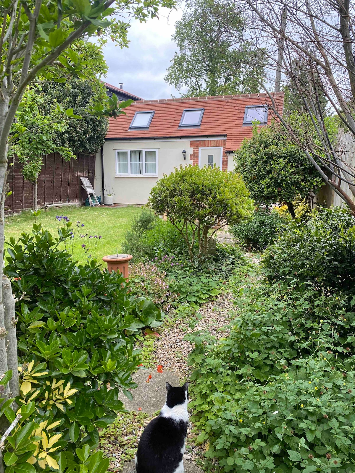 A well-maintained garden path leads to the private entrance of the Garden Cottage, framed by lush greenery and flowering plants. A small cat is seen in the foreground, adding a sense of tranquility to the peaceful outdoor space.