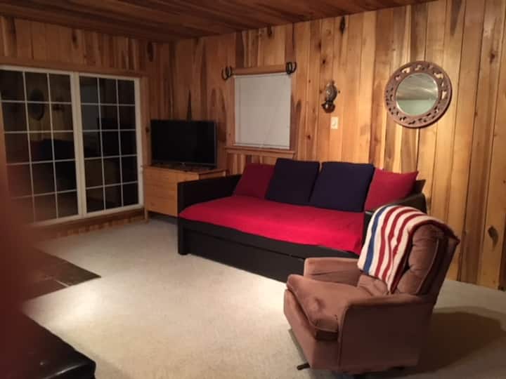 Sehemu ya sebule ya nyumba ya mbao. Sofa inaweza kubadilishwa kuwa vitanda 2 vya ukubwa wa watu wawili.