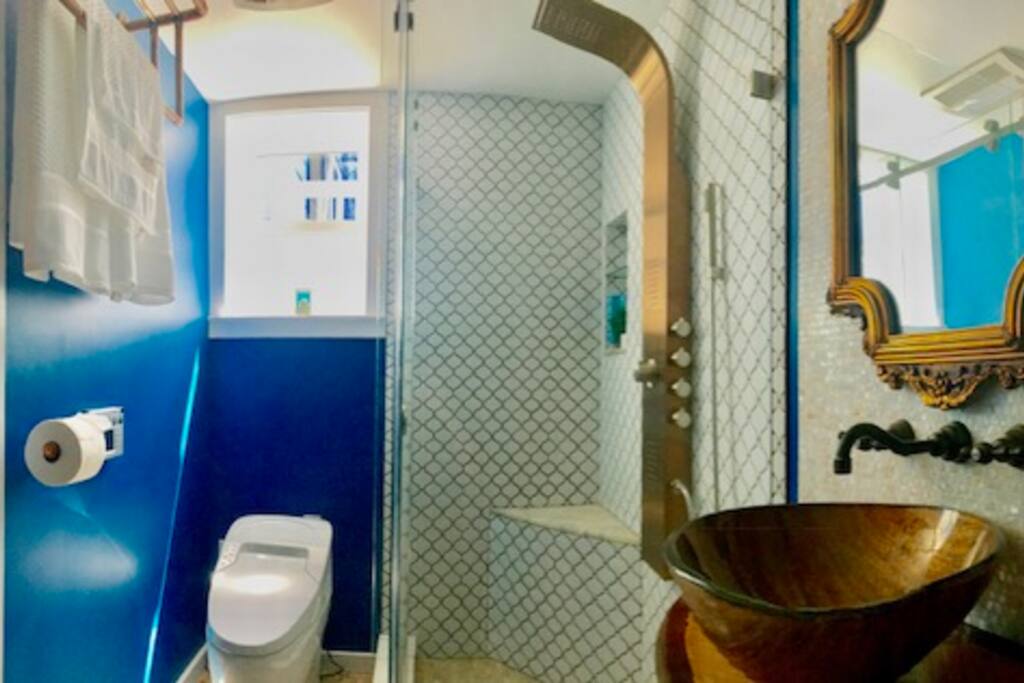Walk-in Shower and Bidet Toilet