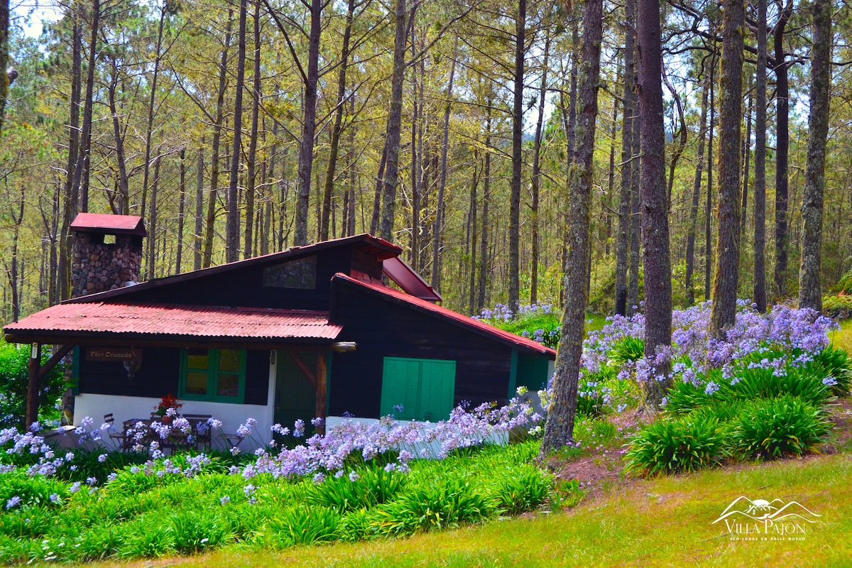 A rustic cabin is nestled among tall pine trees, surrounded by vibrant purple flowers and lush greenery. The stone chimney is visible, and green shutters add a touch of color to the dark wooden structure. Natural beauty envelops the peaceful setting.