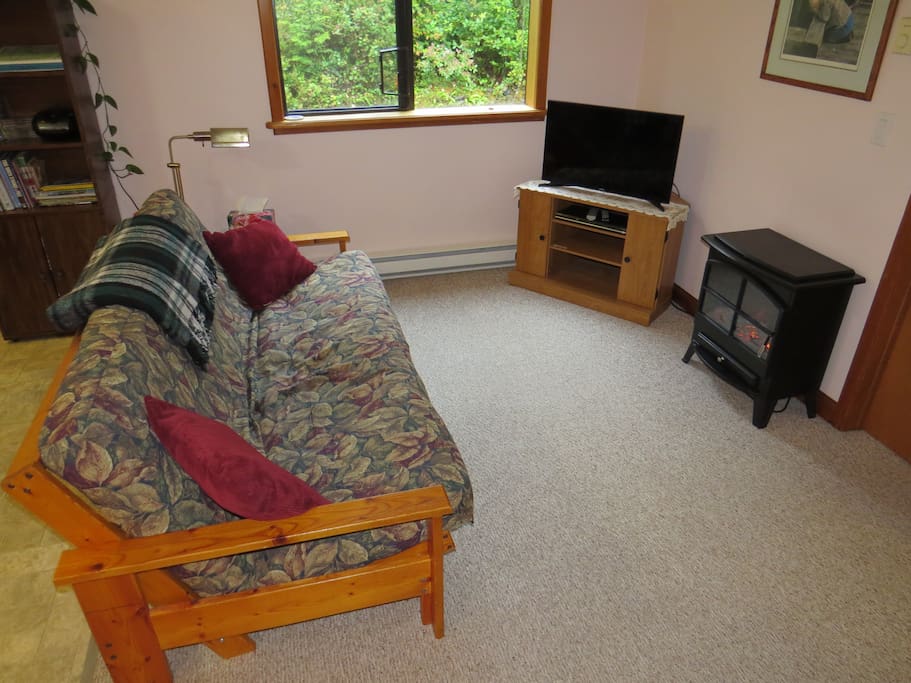 Cozy living area with futon, fireplace, TV, DVD.