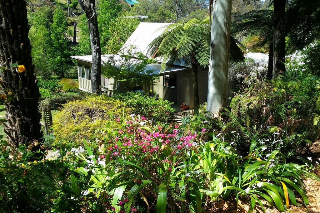 View of the cottage from the garden path