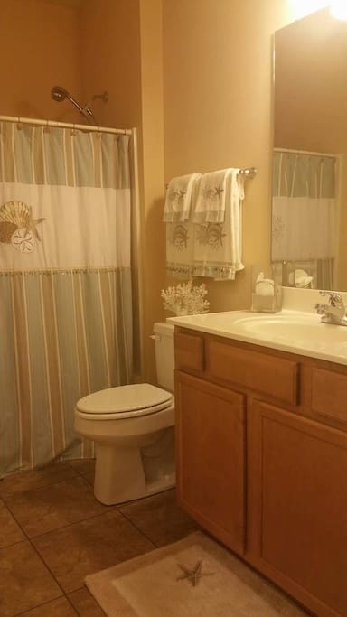 Guest Bathroom