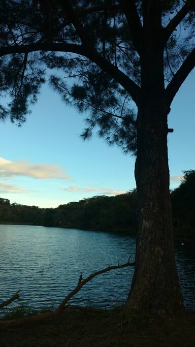 Vista da lagoa interna do Condomínio
