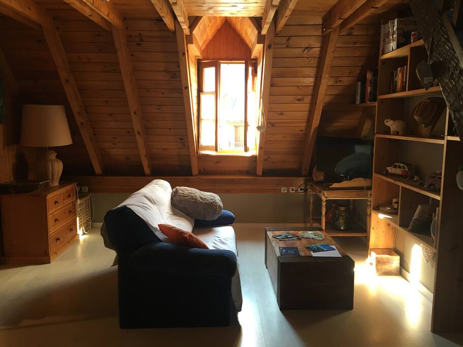 Salón equipado con lo más esencial. Sofá cama, televisión, estantería con libros, etc.
Muy soleado.