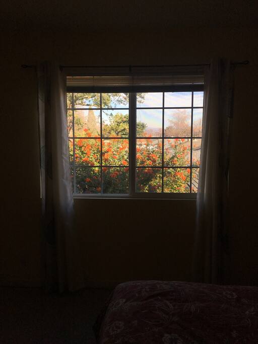 View inside the bedroom on a sunny pleasant day!