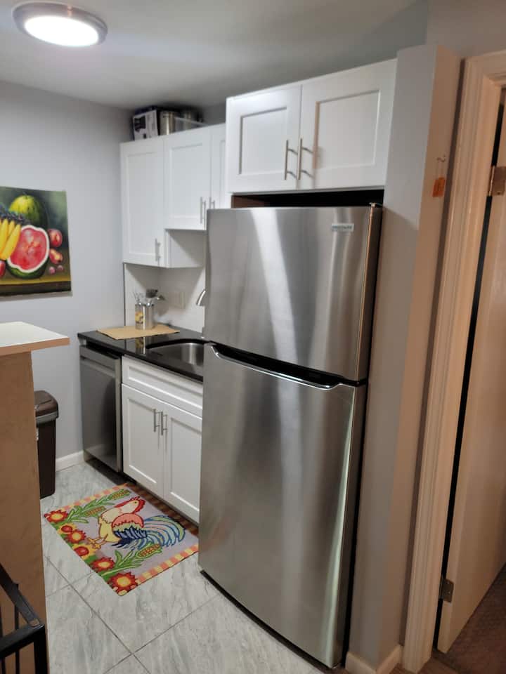Newly Remodeled Apartment