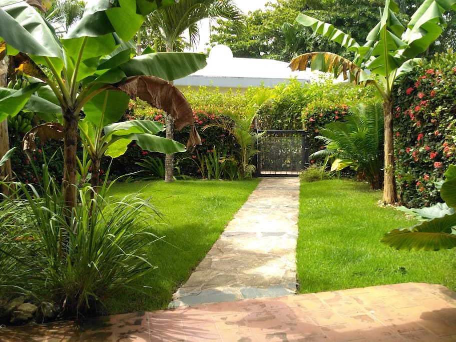 My garden! (after the gardener's weekly tasks.. heheh)