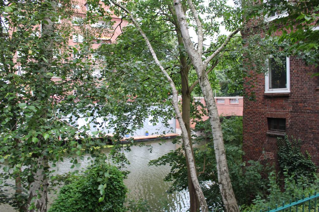 Blick aus dem Garten