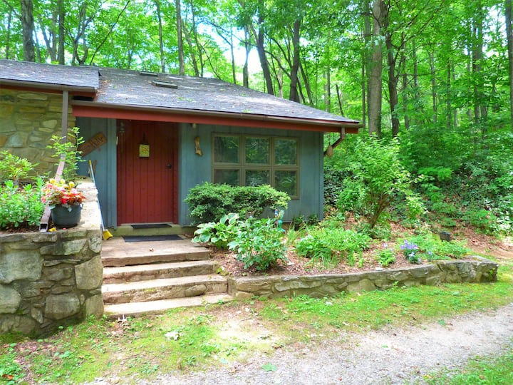 Peaceful, quiet, unique guest house Lofts for Rent in Balsam, North