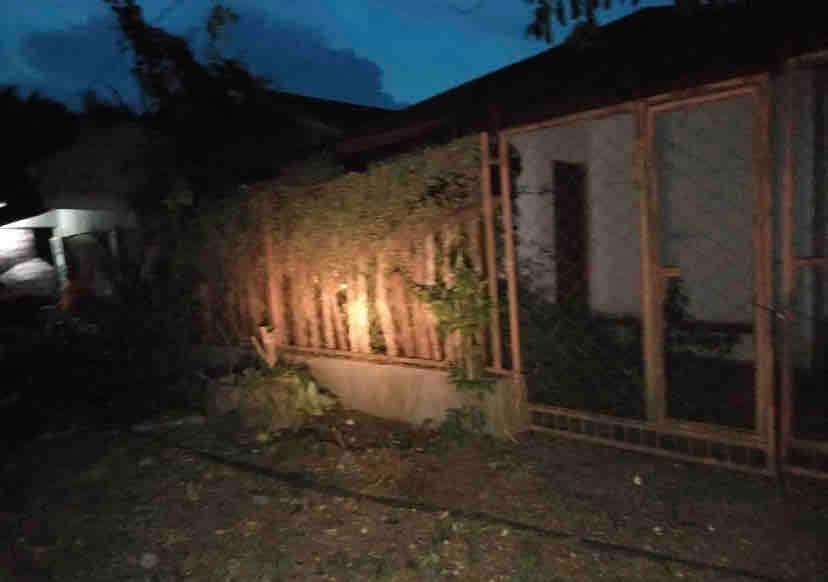 A dimly lit exterior view shows a wooden fence partially covered in foliage, separating a garden area from a building. Subtle lighting illuminates the area, creating a serene atmosphere during twilight. Shadows of trees and structures are present, contributing to the peaceful setting.