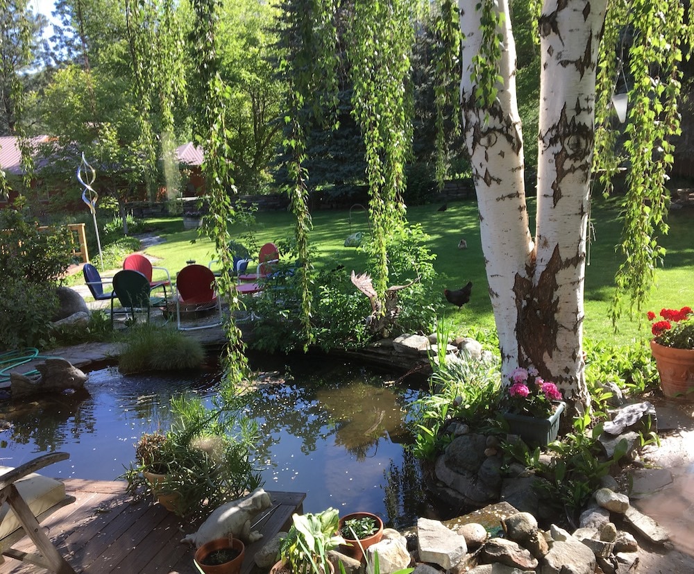 A lush garden scene is visible, featuring a serene pond surrounded by vibrant greenery. Taller birch trees frame the area, with hanging branches creating an inviting atmosphere. Colorful patio chairs are arranged on the lawn, and decorative pots filled with flowers contribute to the tranquil environment.